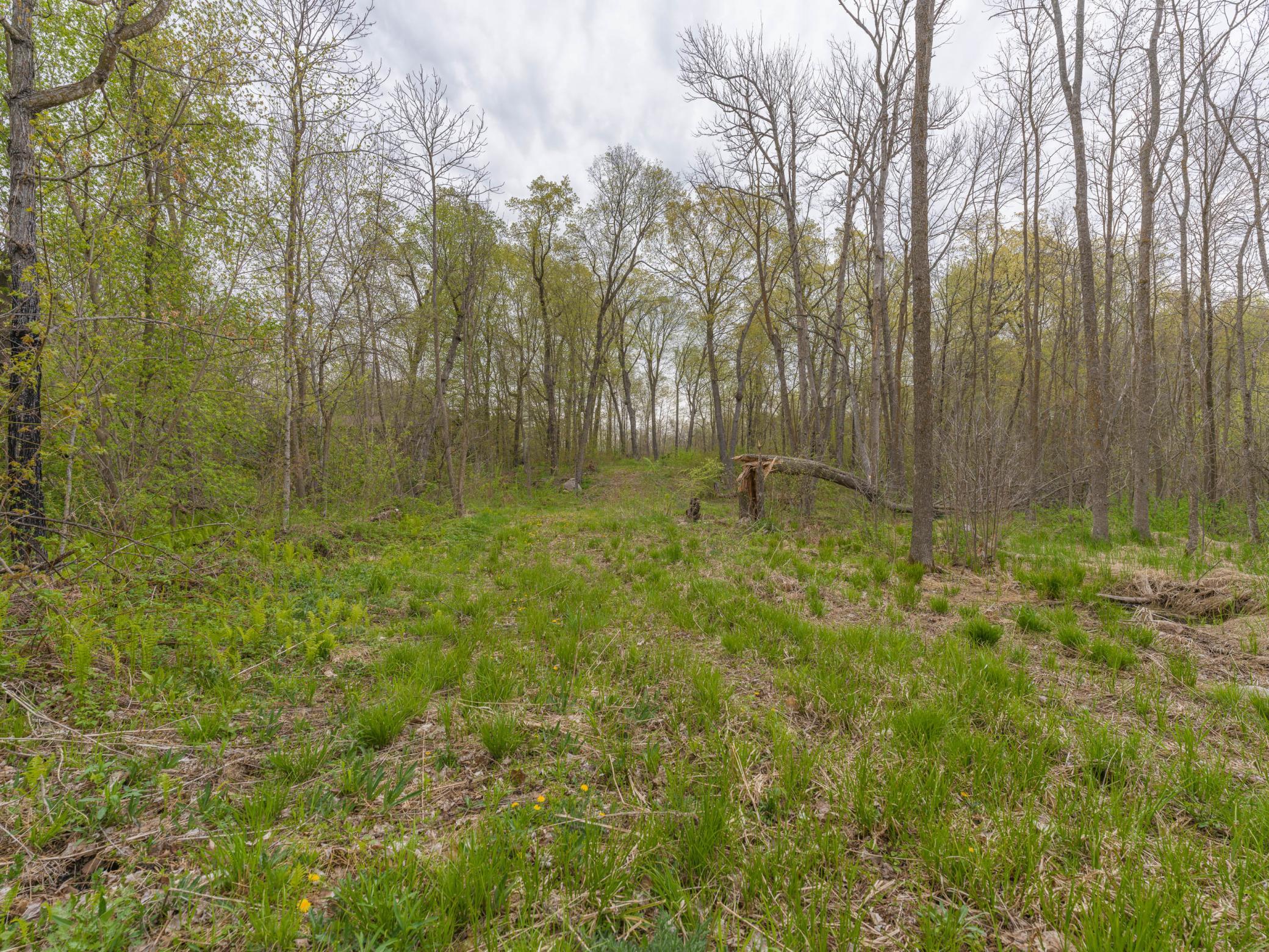 186XX 329th Avenue, Isle MN 56342 - Photo 2 of 7