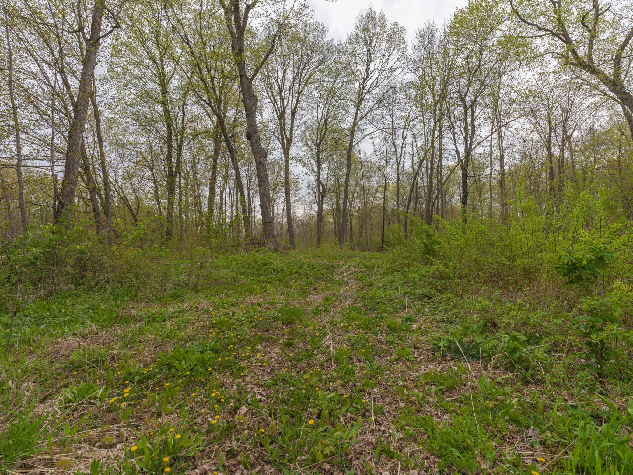 186XX 329th Avenue, Isle MN 56342 - Photo 3 of 7