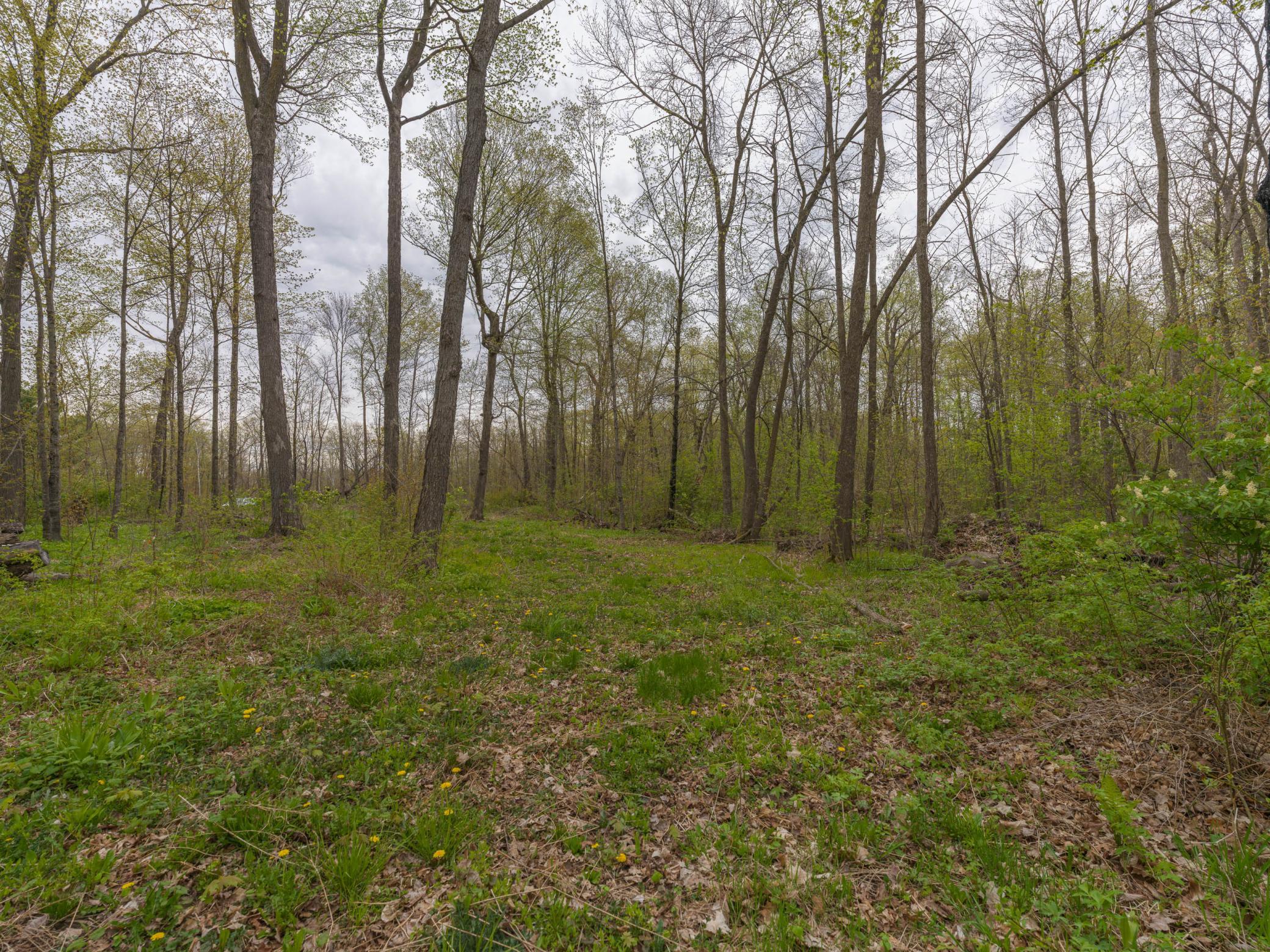 186XX 329th Avenue, Isle MN 56342 - Photo 4 of 7