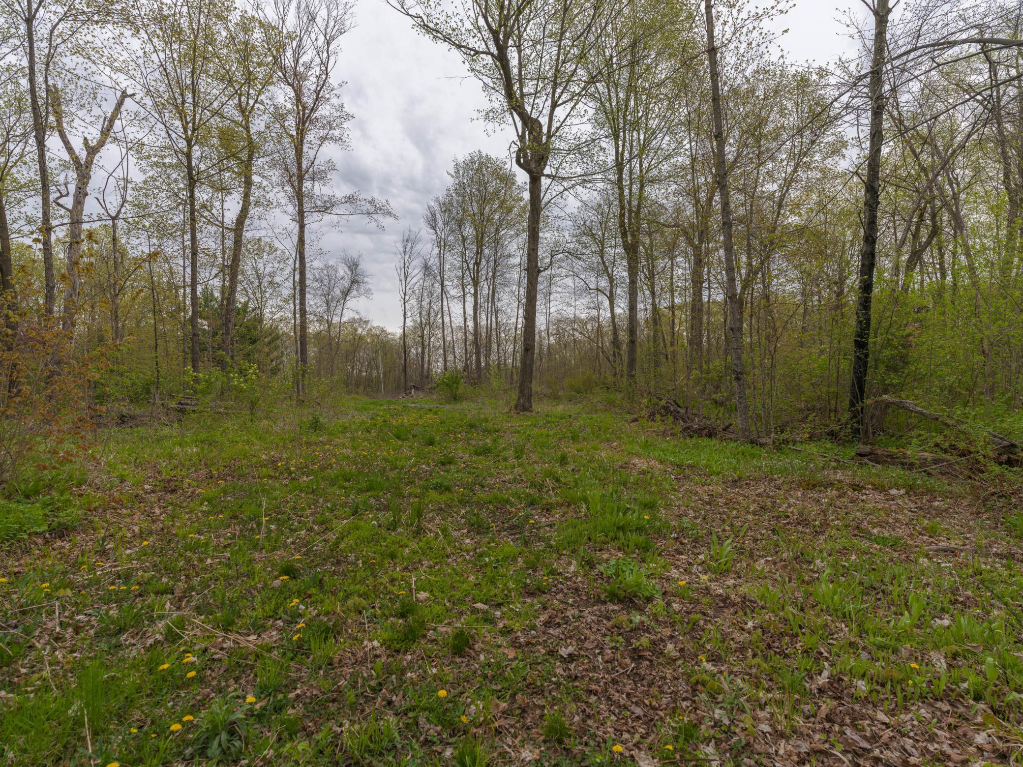186XX 329th Avenue, Isle MN 56342 - Photo 5 of 7