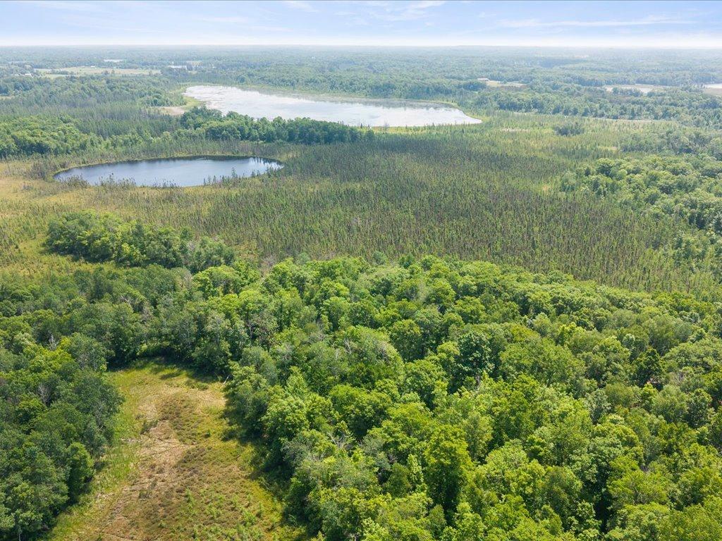land for sale at Lot 1 County Road 12 in Ironton, MN (photo 2 of 9)