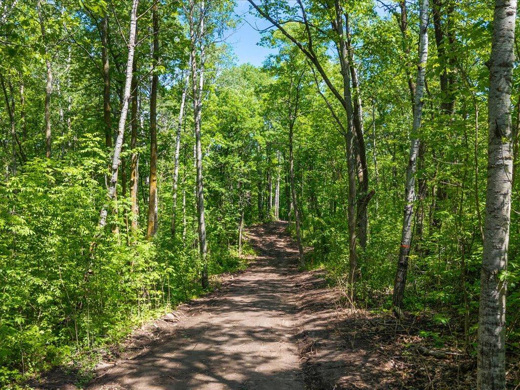 land for sale at Lot 1 County Road 12 in Ironton, MN (photo 5 of 9)