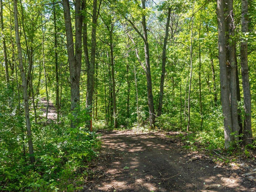 land for sale at Lot 1 County Road 12 in Ironton, MN (photo 6 of 9)