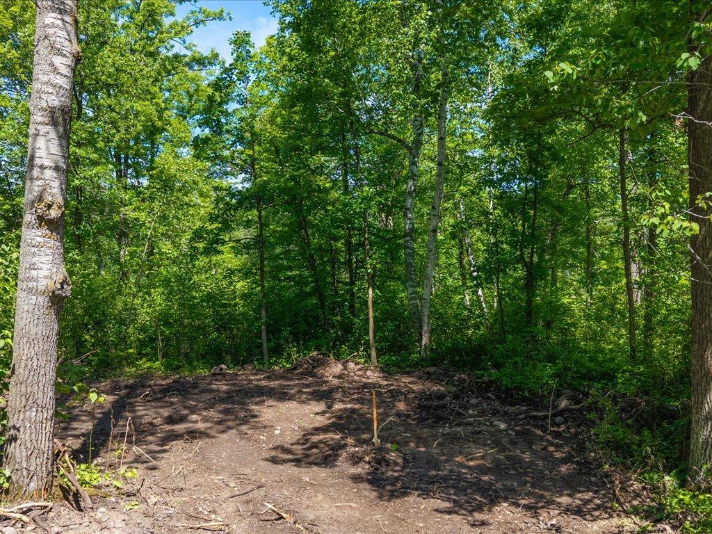 land for sale at Lot 1 County Road 12 in Ironton, MN (photo 7 of 9)