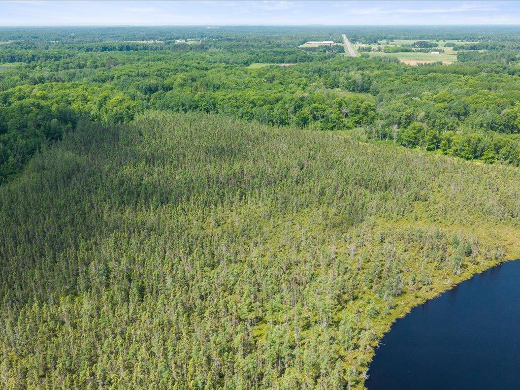 land for sale at Lot 1 County Road 12 in Ironton, MN (photo 8 of 9)