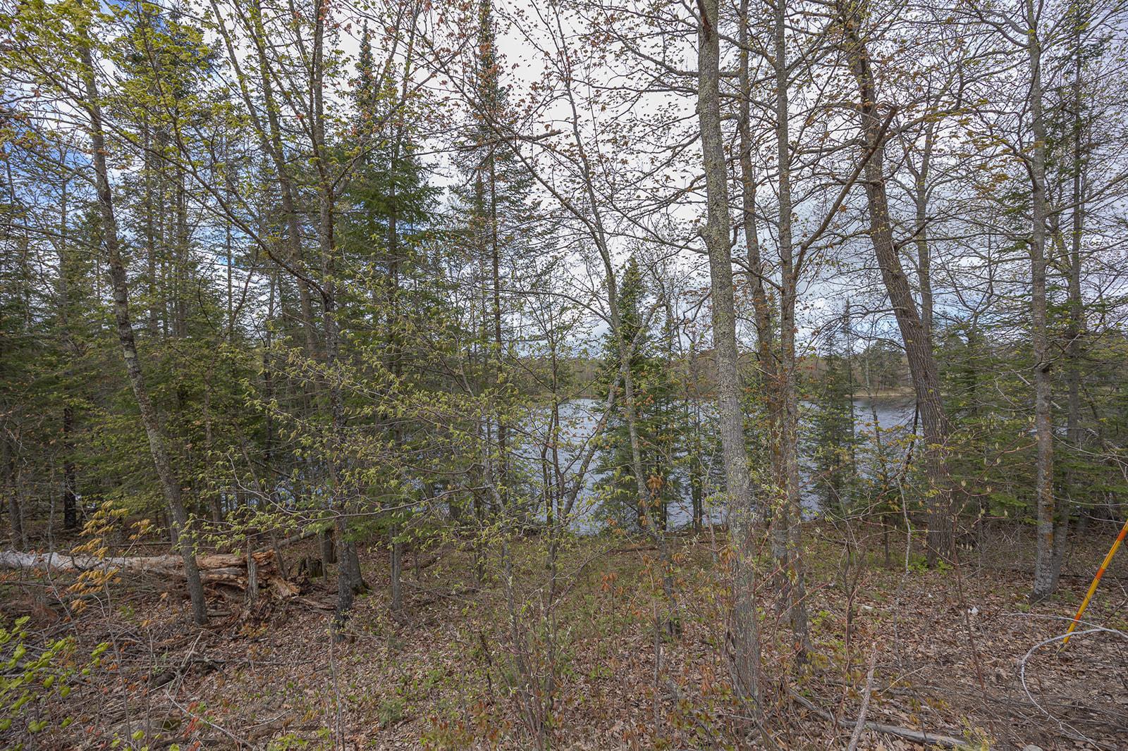 1169 Wabedo Pass Road NE, Longville MN 56655 - Photo 31 of 46
