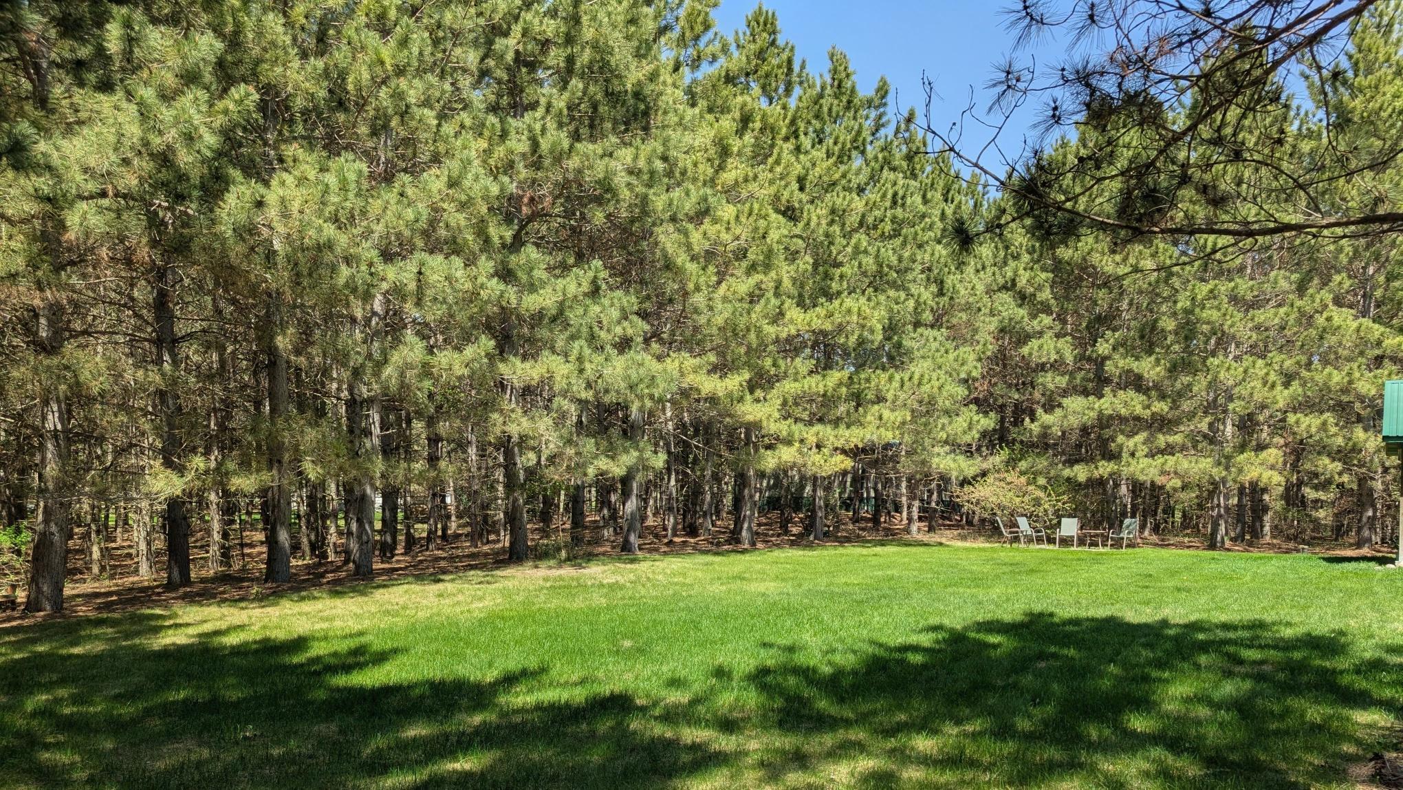 7570 Sandhill Terrace NE, Carlos MN 56319 - Photo 8 of 8