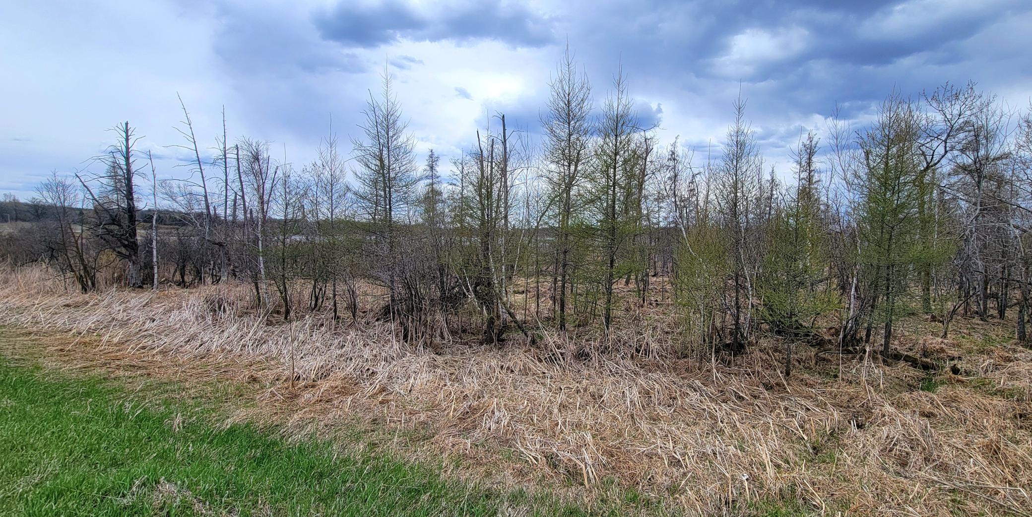 290xx County Highway 35, Underwood MN 56586 - Photo 16 of 16