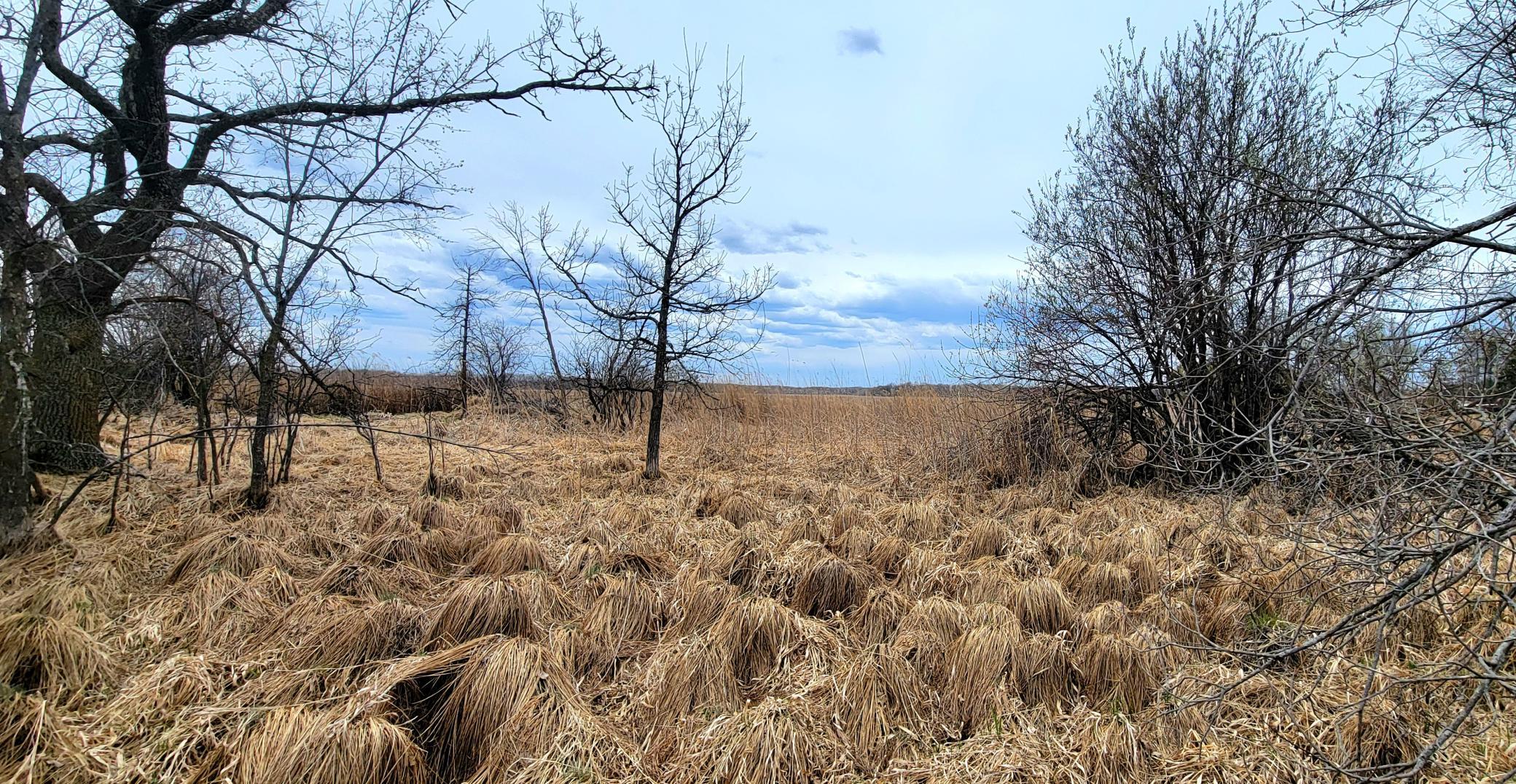 290xx County Highway 35, Underwood MN 56586 - Photo 3 of 16