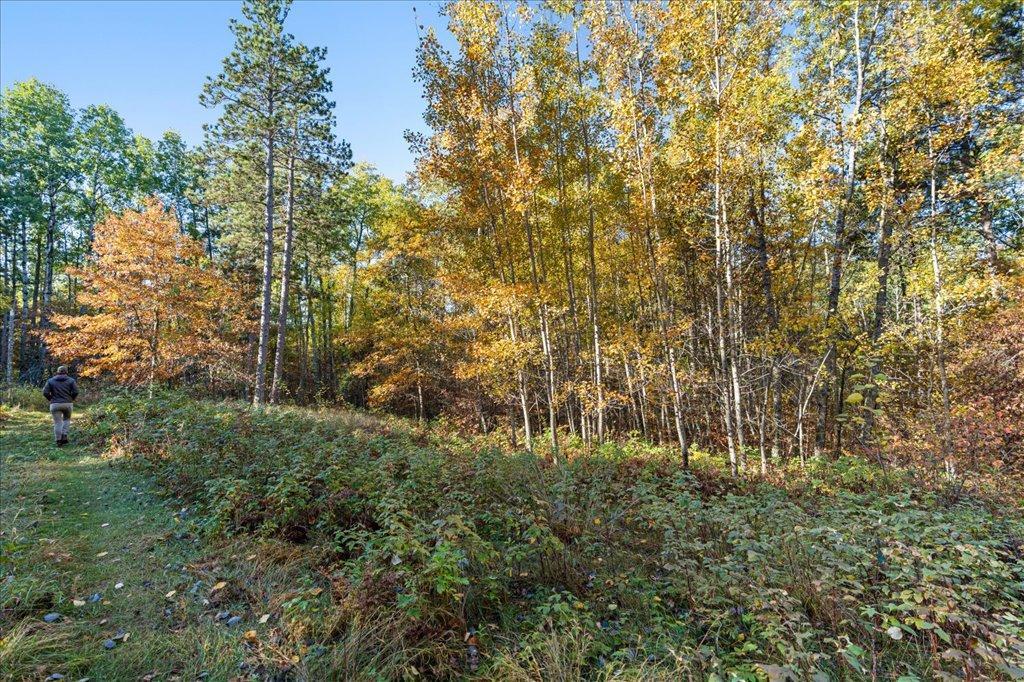 TBD Liedlwood Ln, Pequot Lakes MN 56472 - Photo 20 of 67