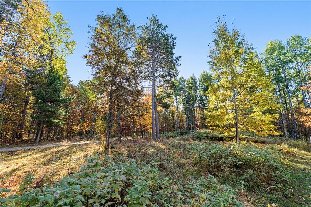 TBD Liedlwood Ln, Pequot Lakes MN 56472 - Photo 21 of 67