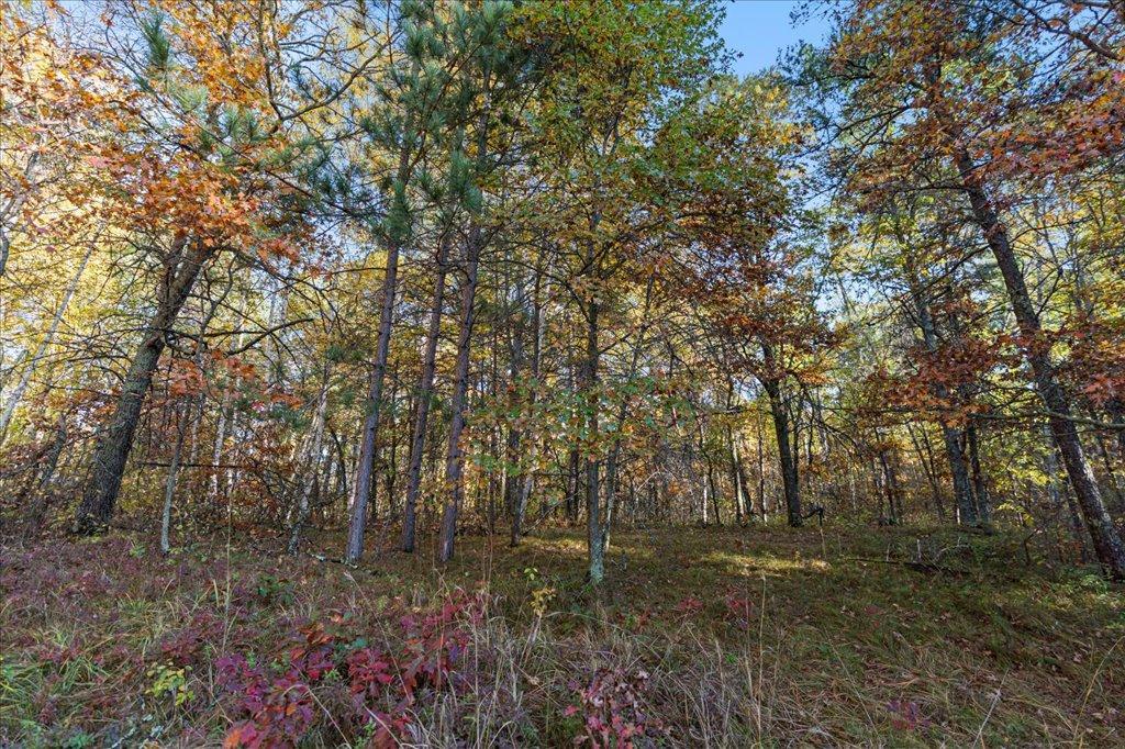 TBD Liedlwood Ln, Pequot Lakes MN 56472 - Photo 22 of 67