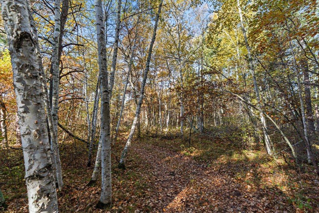 TBD Liedlwood Ln, Pequot Lakes MN 56472 - Photo 23 of 67