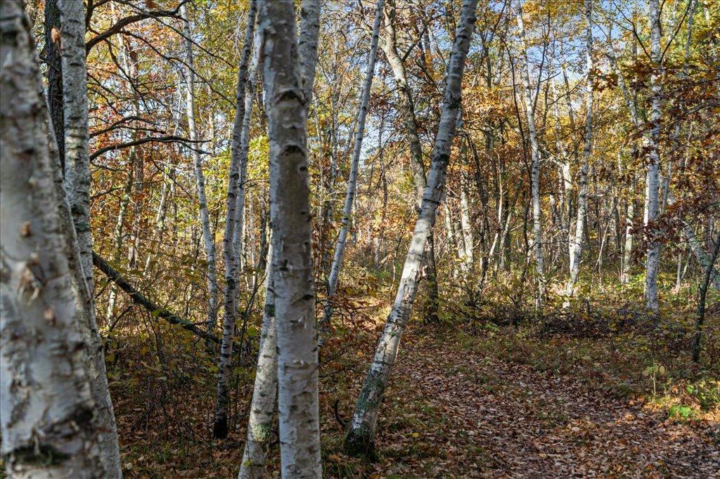 TBD Liedlwood Ln, Pequot Lakes MN 56472 - Photo 24 of 67