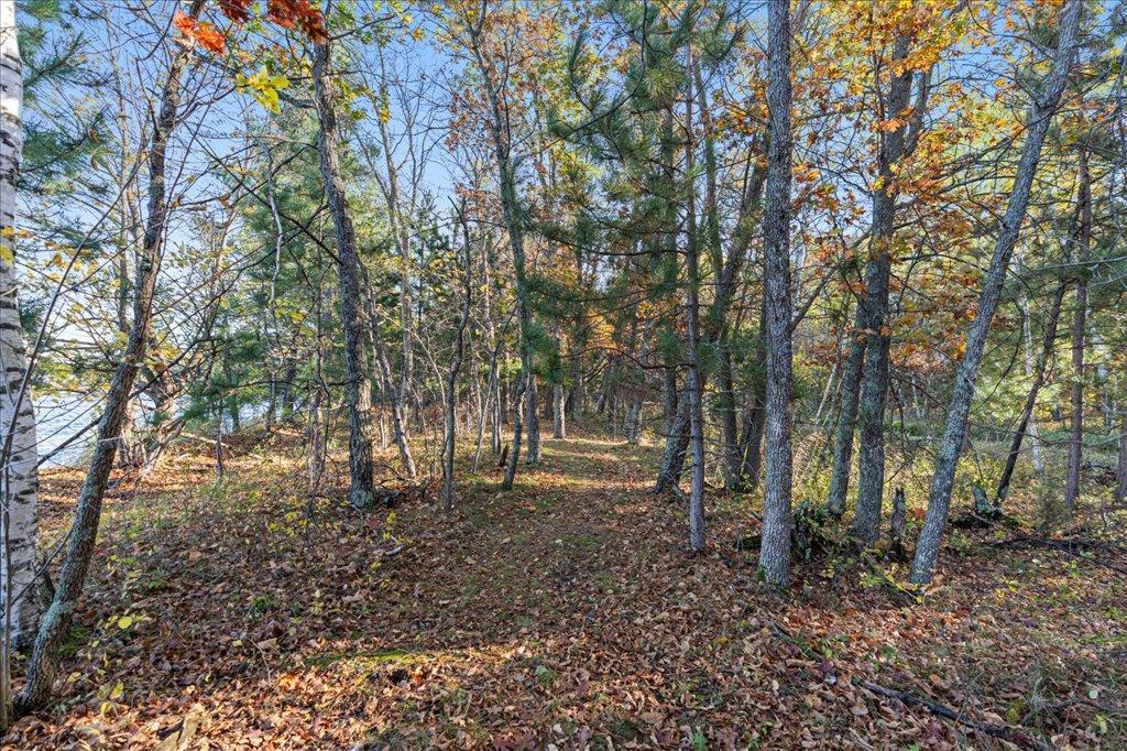 TBD Liedlwood Ln, Pequot Lakes MN 56472 - Photo 25 of 67
