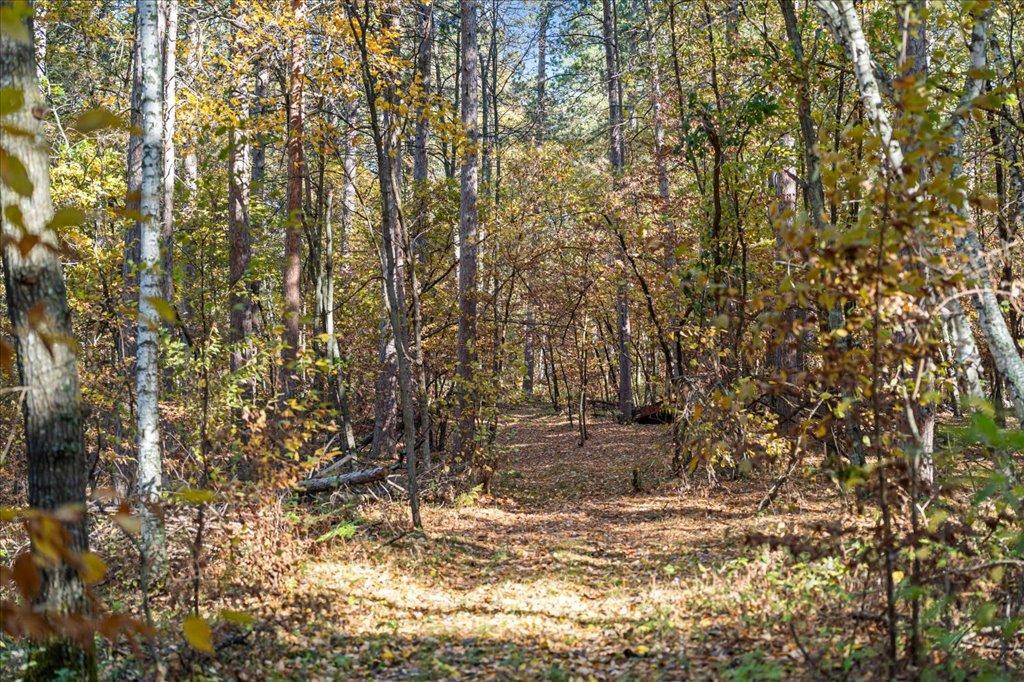 TBD Liedlwood Ln, Pequot Lakes MN 56472 - Photo 28 of 67