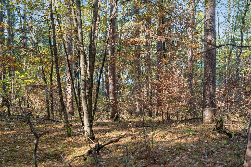 TBD Liedlwood Ln, Pequot Lakes MN 56472 - Photo 31 of 67