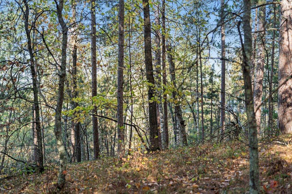 TBD Liedlwood Ln, Pequot Lakes MN 56472 - Photo 33 of 67