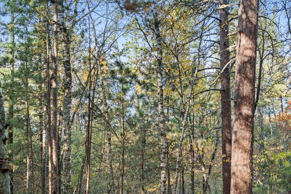 TBD Liedlwood Ln, Pequot Lakes MN 56472 - Photo 36 of 67