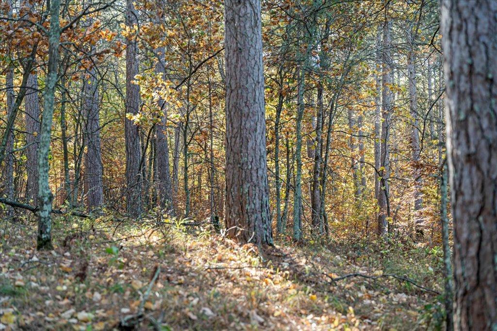 TBD Liedlwood Ln, Pequot Lakes MN 56472 - Photo 37 of 67