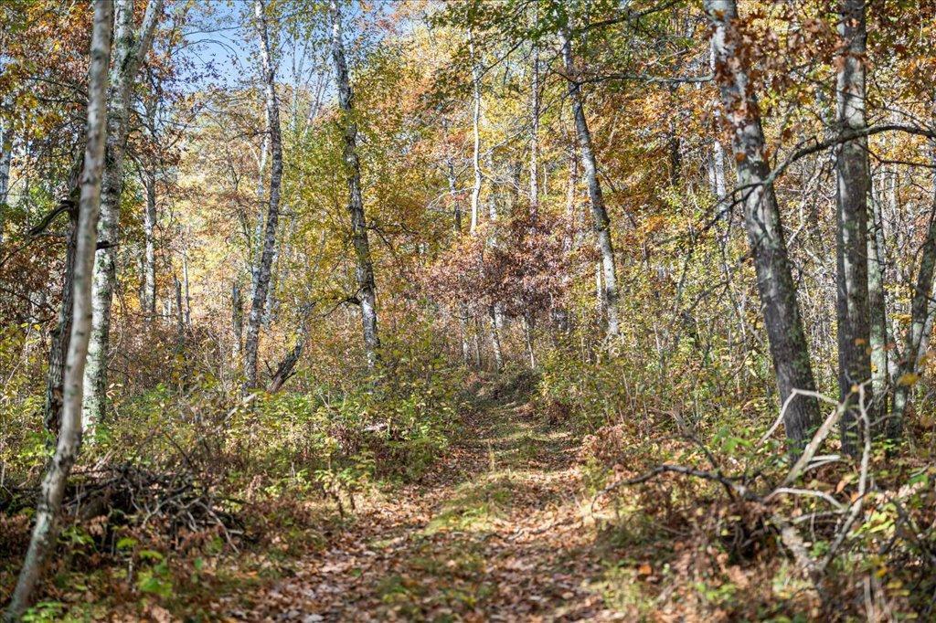 TBD Liedlwood Ln, Pequot Lakes MN 56472 - Photo 40 of 67