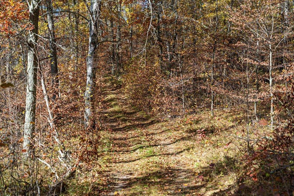 TBD Liedlwood Ln, Pequot Lakes MN 56472 - Photo 42 of 67