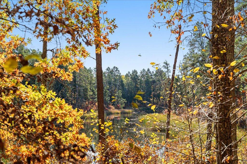 TBD Liedlwood Ln, Pequot Lakes MN 56472 - Photo 44 of 67