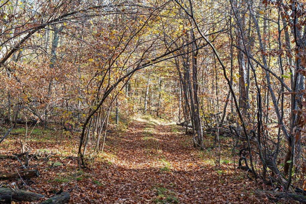 TBD Liedlwood Ln, Pequot Lakes MN 56472 - Photo 45 of 67