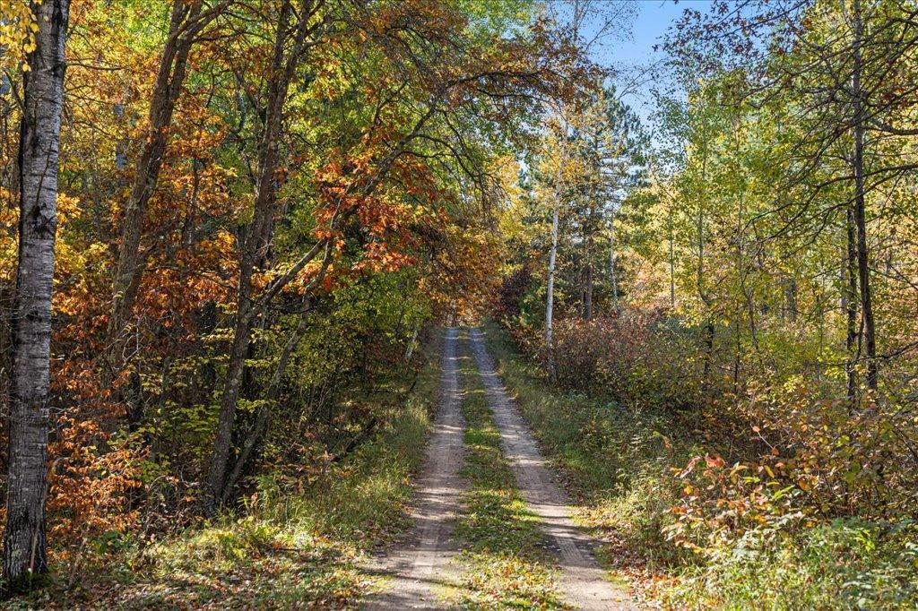 TBD Liedlwood Ln, Pequot Lakes MN 56472 - Photo 47 of 67