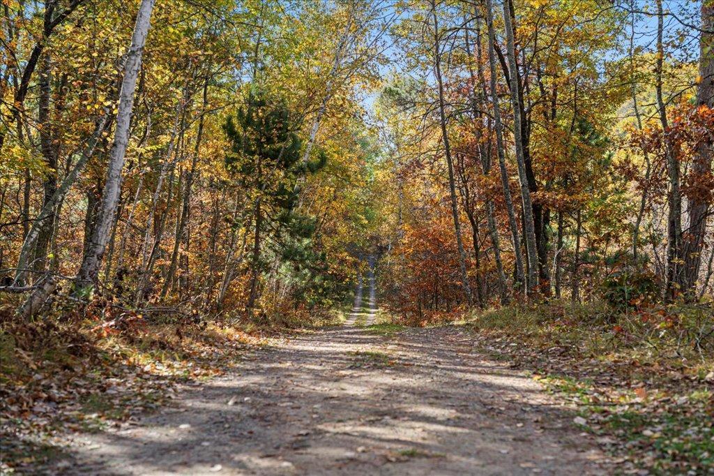 TBD Liedlwood Ln, Pequot Lakes MN 56472 - Photo 49 of 67