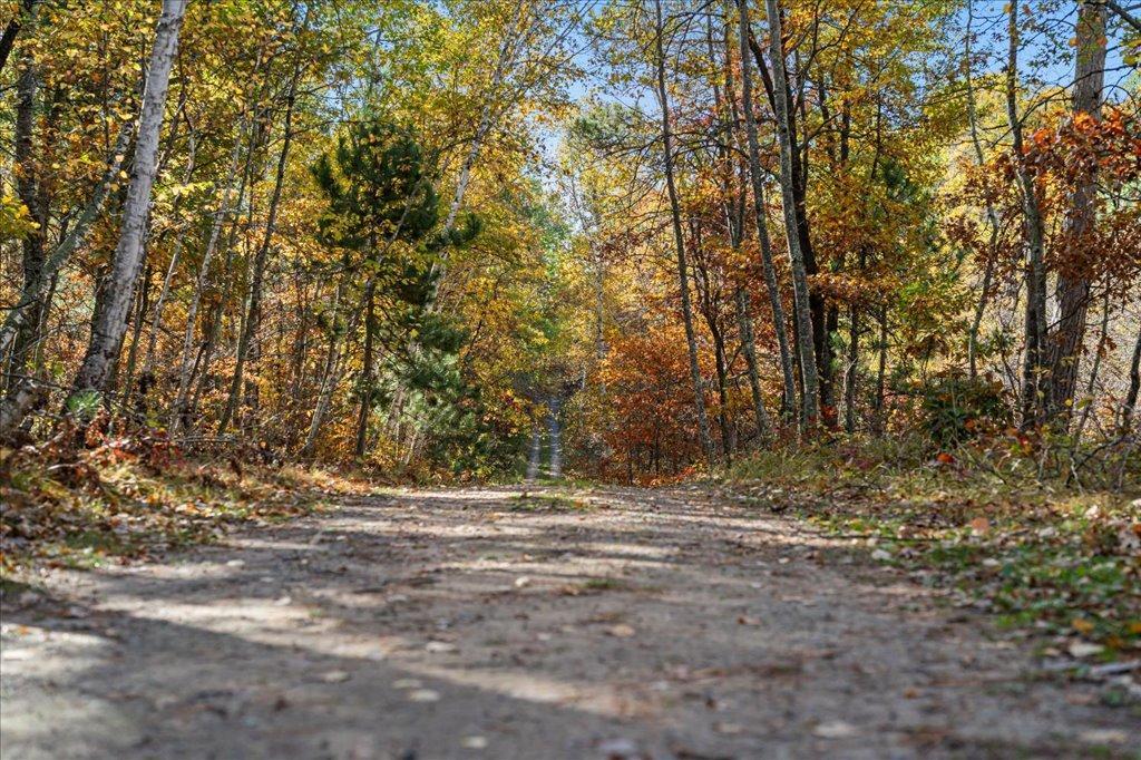 TBD Liedlwood Ln, Pequot Lakes MN 56472 - Photo 51 of 67