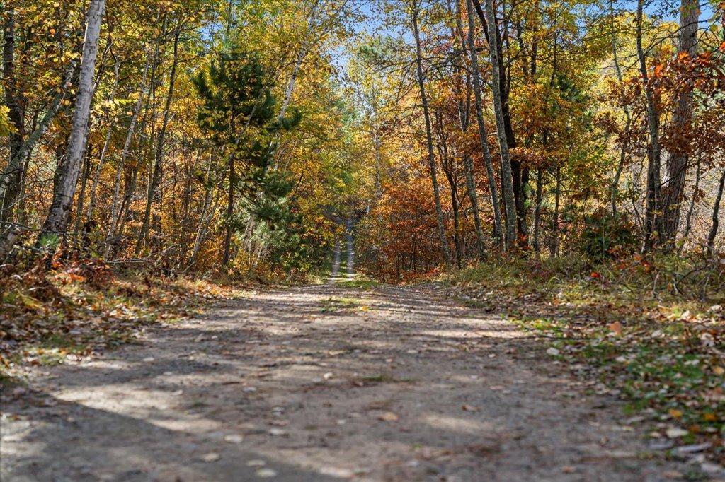 TBD Liedlwood Ln, Pequot Lakes MN 56472 - Photo 52 of 67