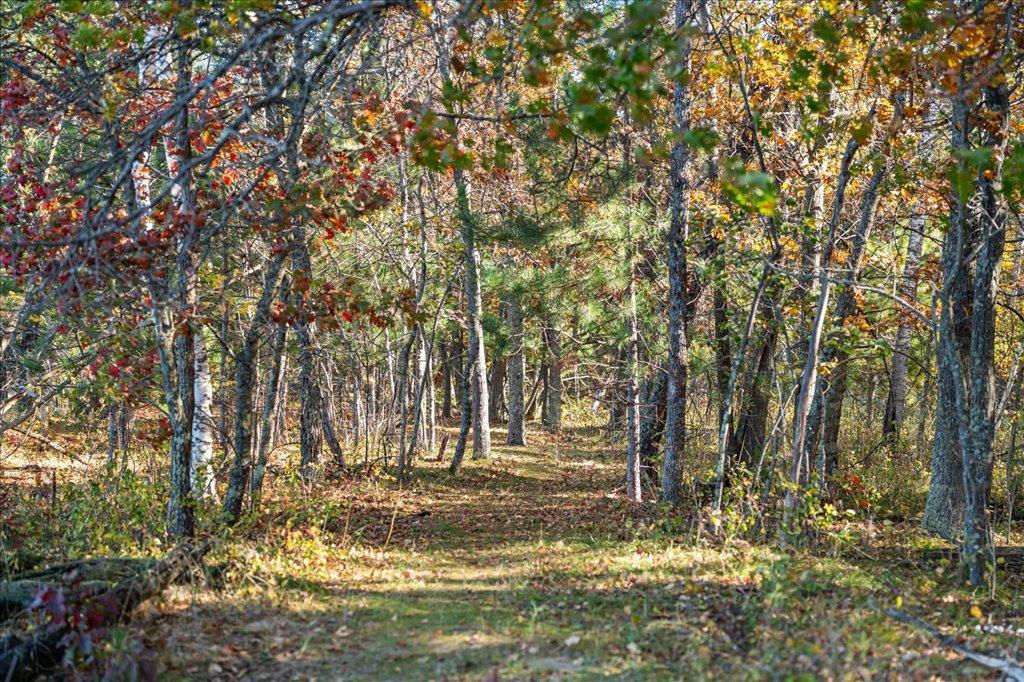 TBD Liedlwood Ln, Pequot Lakes MN 56472 - Photo 64 of 67