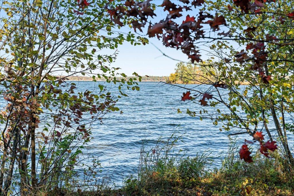 TBD Liedlwood Ln, Pequot Lakes MN 56472 - Photo 65 of 67