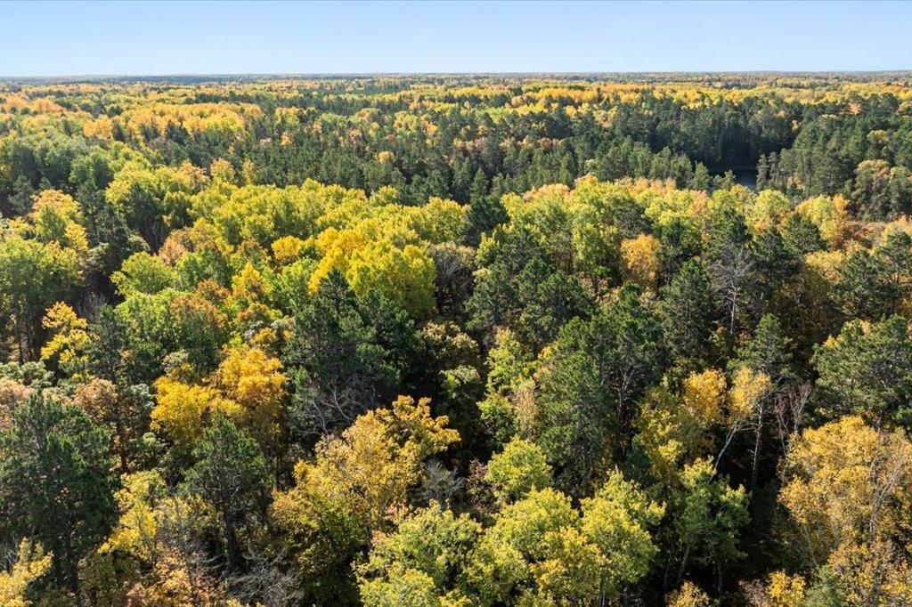 TBD Liedlwood Ln, Pequot Lakes MN 56472 - Photo 8 of 67