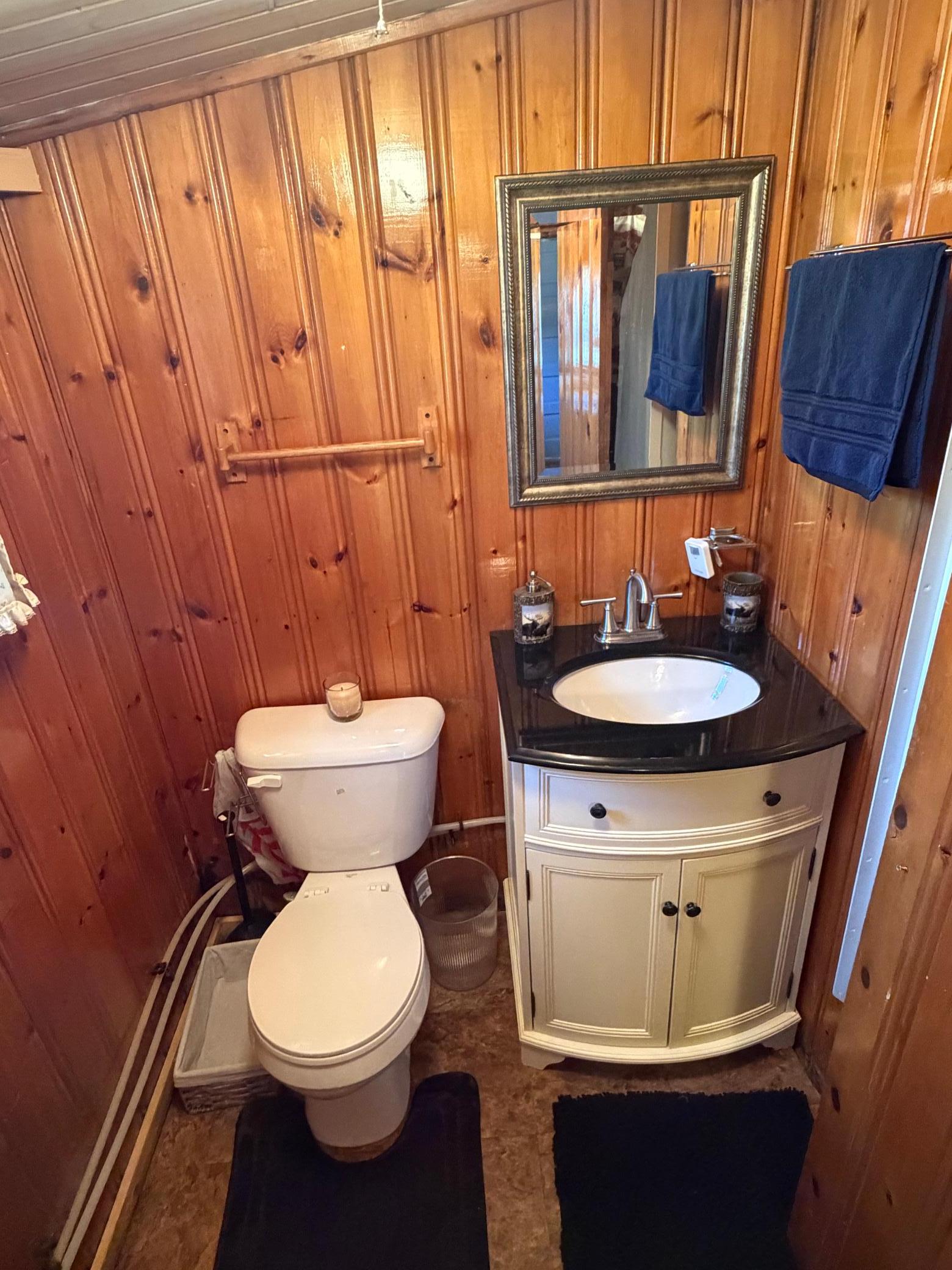 3487 Four Mile Bay Drive NW, Baudette MN 56623 - Photo 6 of 9