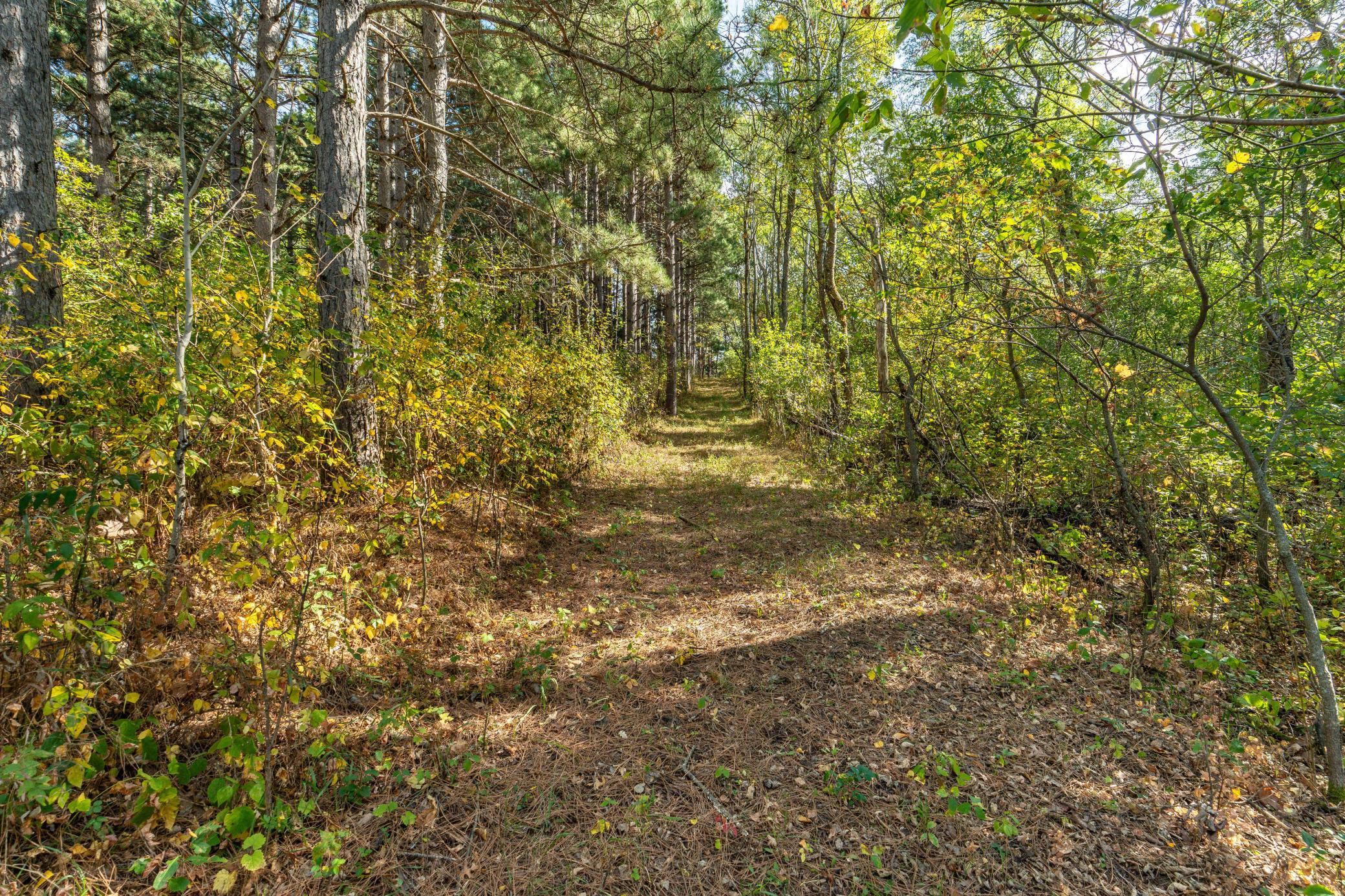 22939 510th Avenue, Henning MN 56551 - Photo 16 of 24