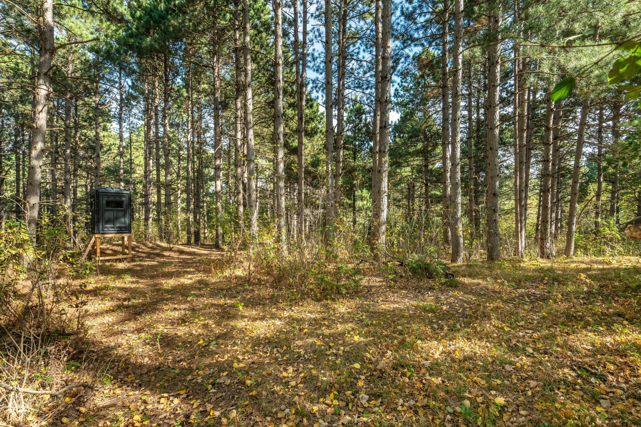 22939 510th Avenue, Henning MN 56551 - Photo 17 of 24