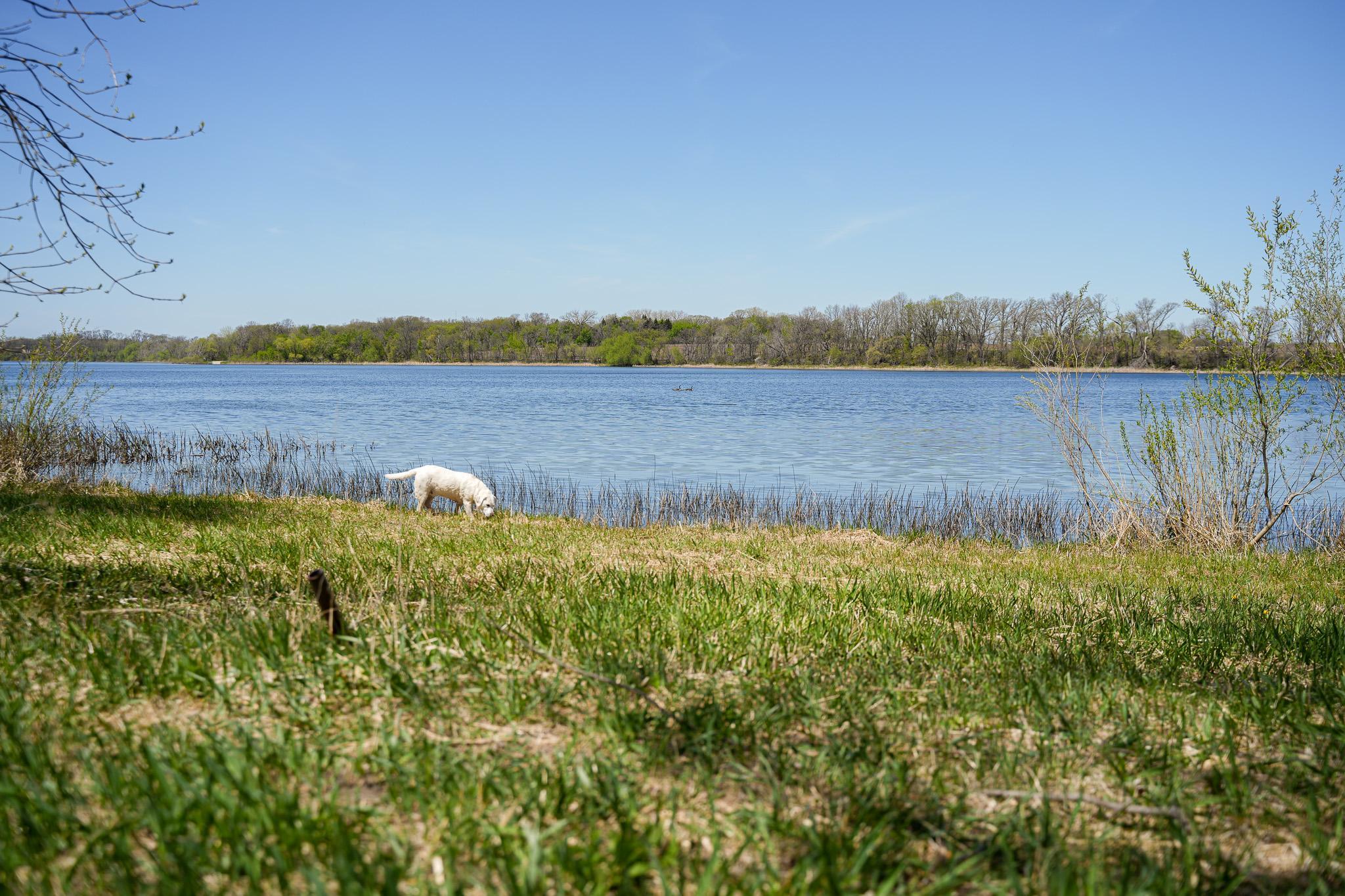 land for sale at TBD 125th Street in Dalton, MN (photo 24 of 42)