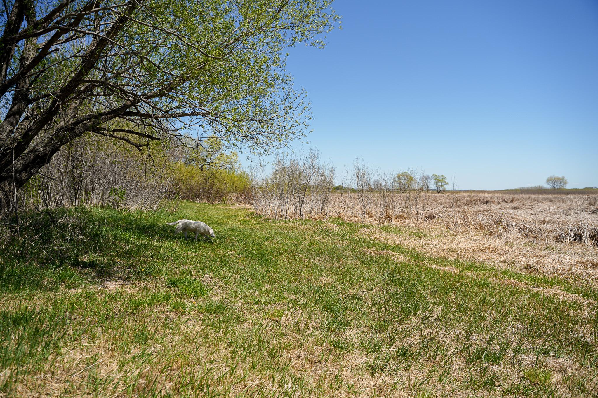 land for sale at TBD 125th Street in Dalton, MN (photo 25 of 42)