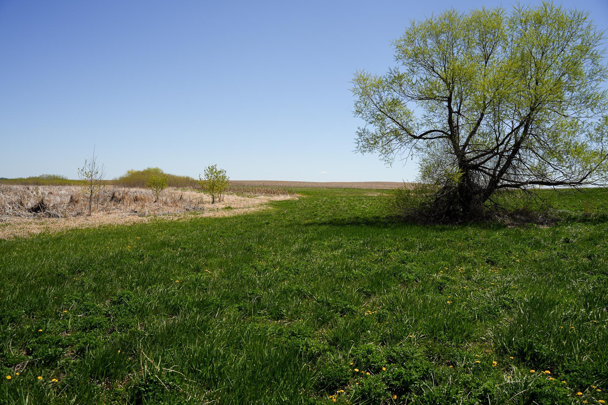 land for sale at TBD 125th Street in Dalton, MN (photo 27 of 42)