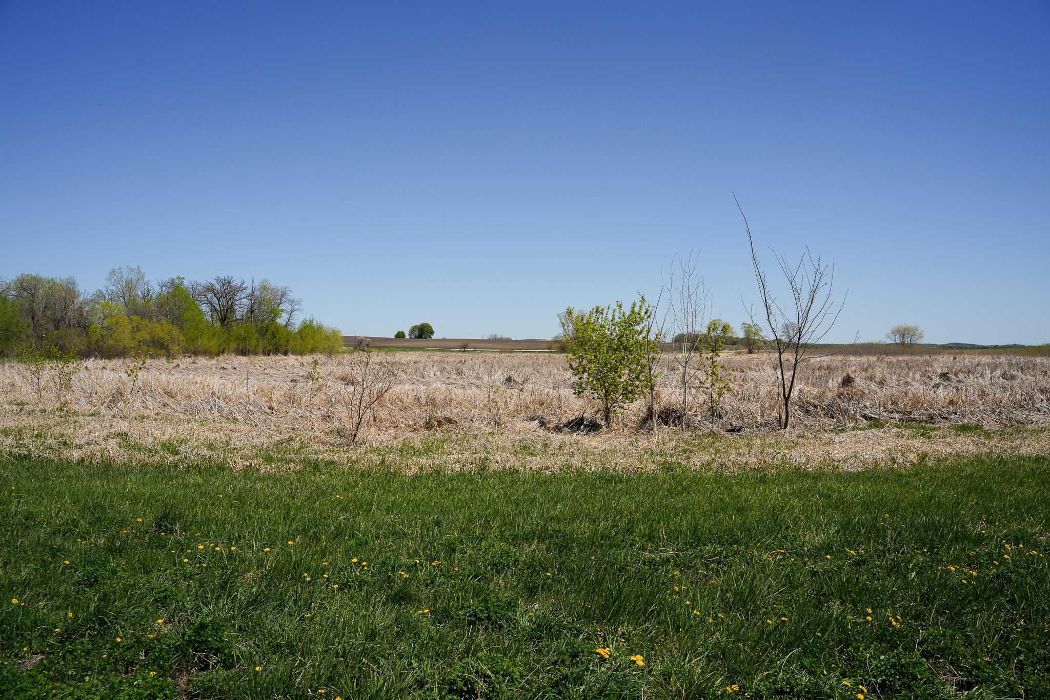 land for sale at TBD 125th Street in Dalton, MN (photo 28 of 42)