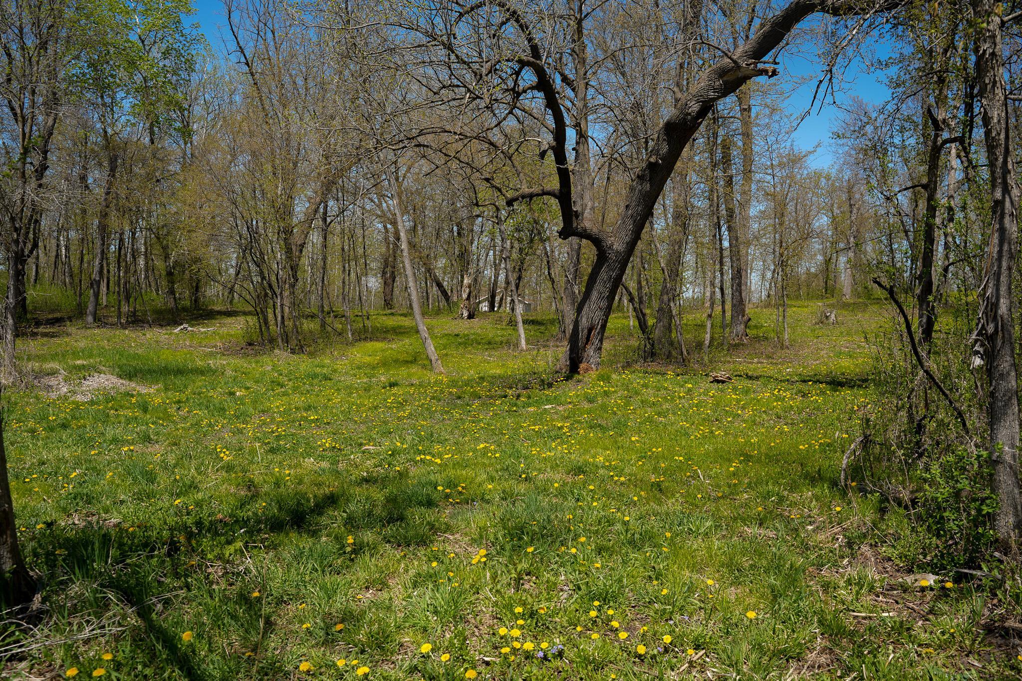 land for sale at TBD 125th Street in Dalton, MN (photo 31 of 42)