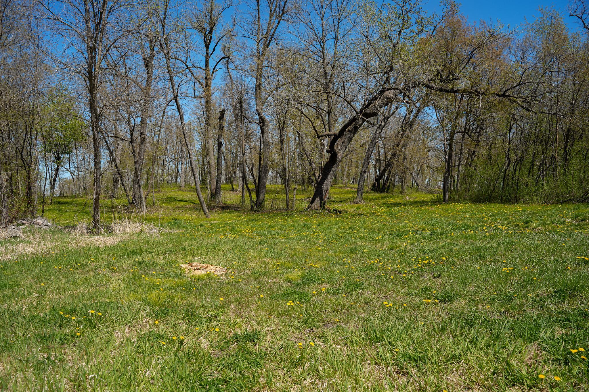 land for sale at TBD 125th Street in Dalton, MN (photo 32 of 42)