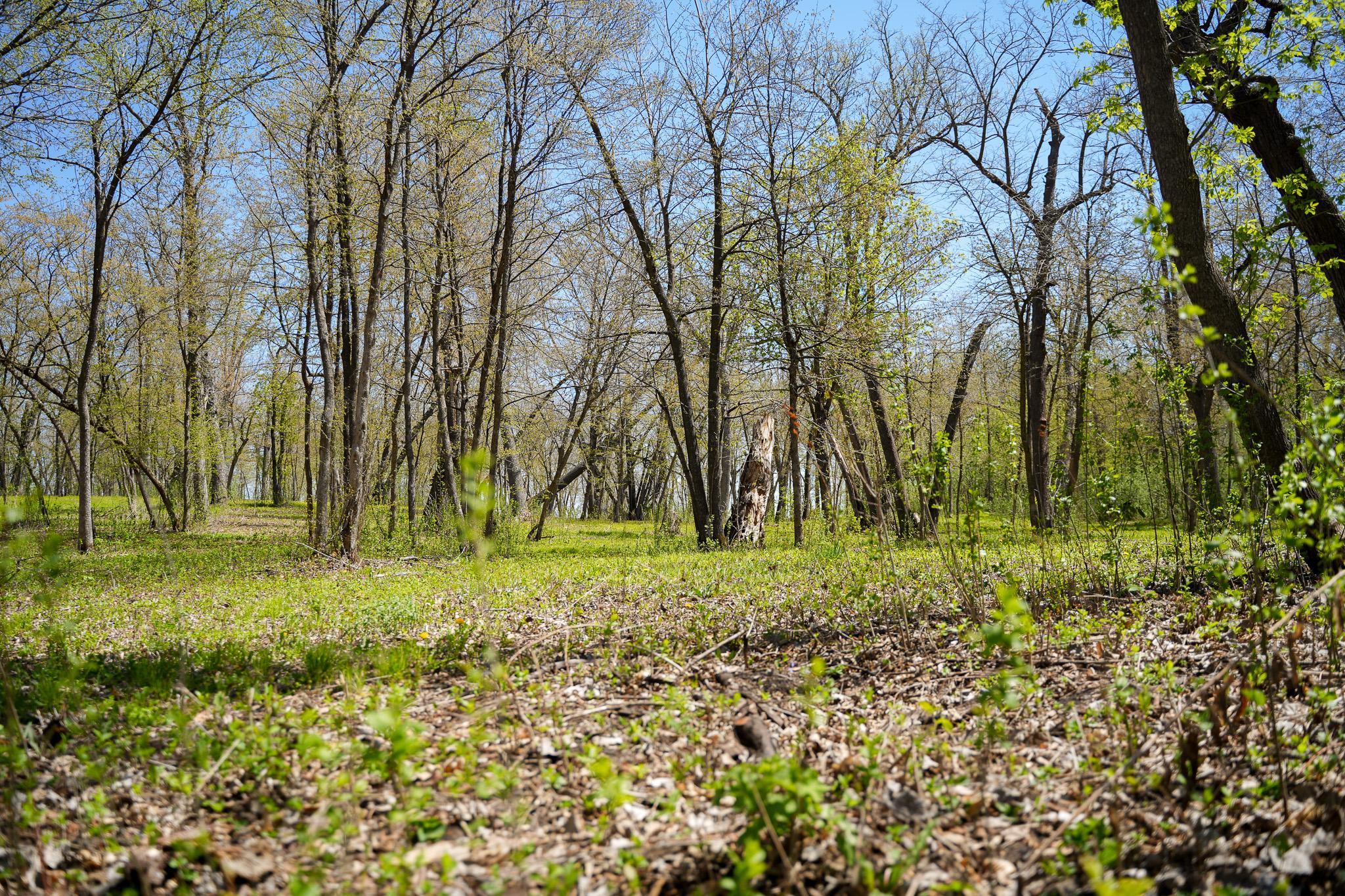 land for sale at TBD 125th Street in Dalton, MN (photo 34 of 42)
