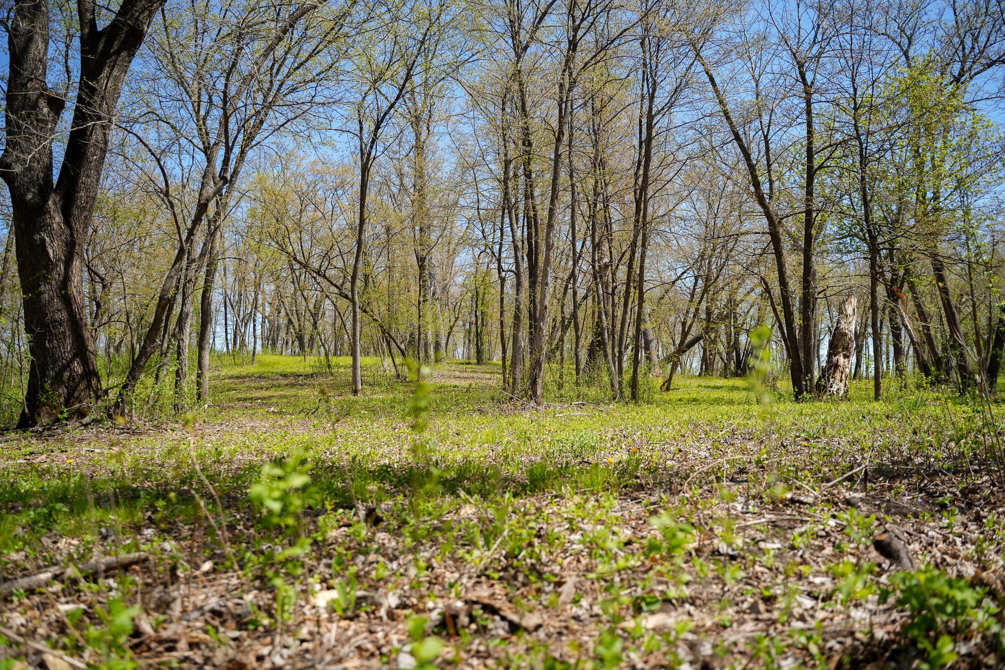 land for sale at TBD 125th Street in Dalton, MN (photo 35 of 42)