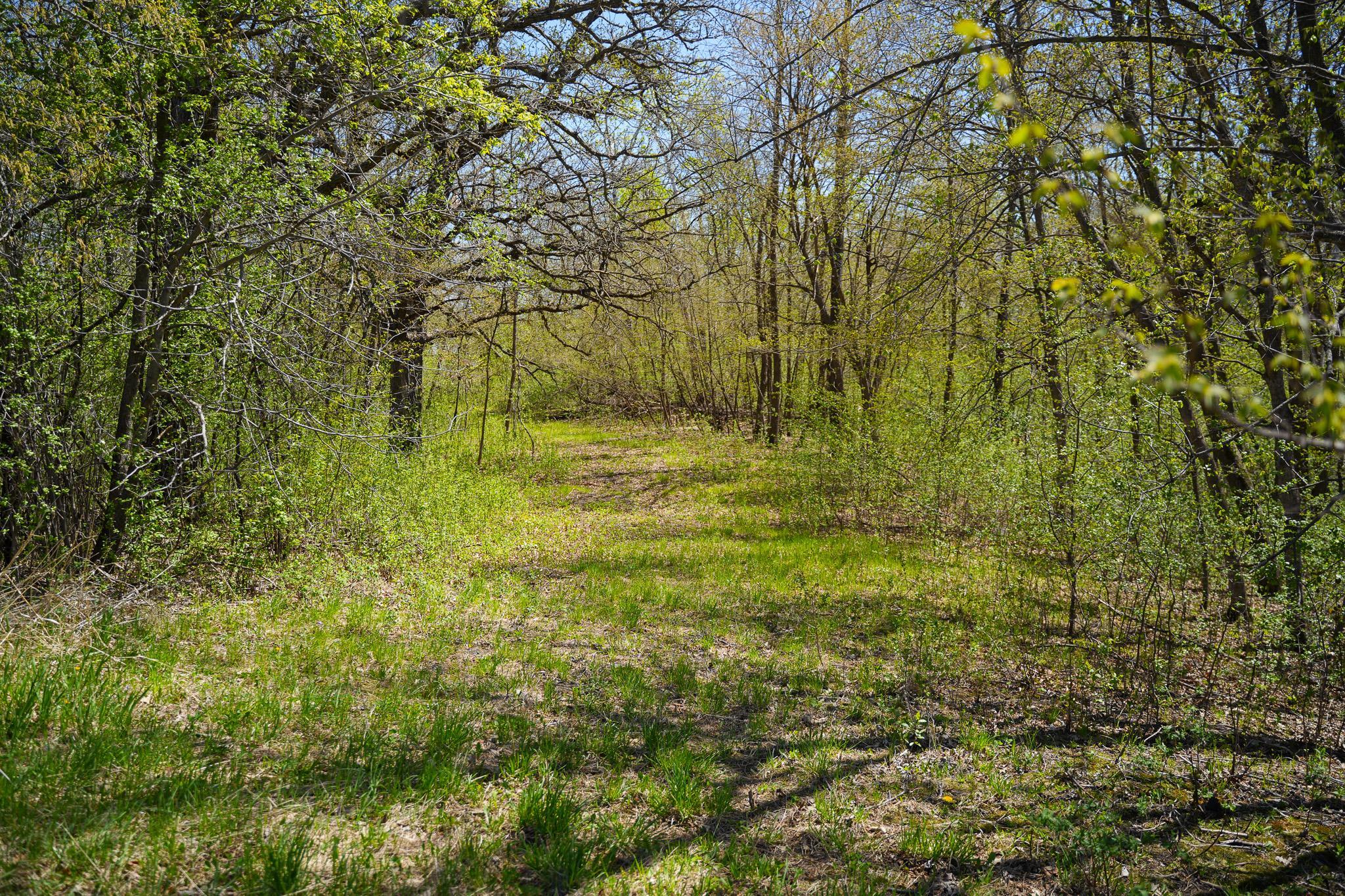 land for sale at TBD 125th Street in Dalton, MN (photo 36 of 42)