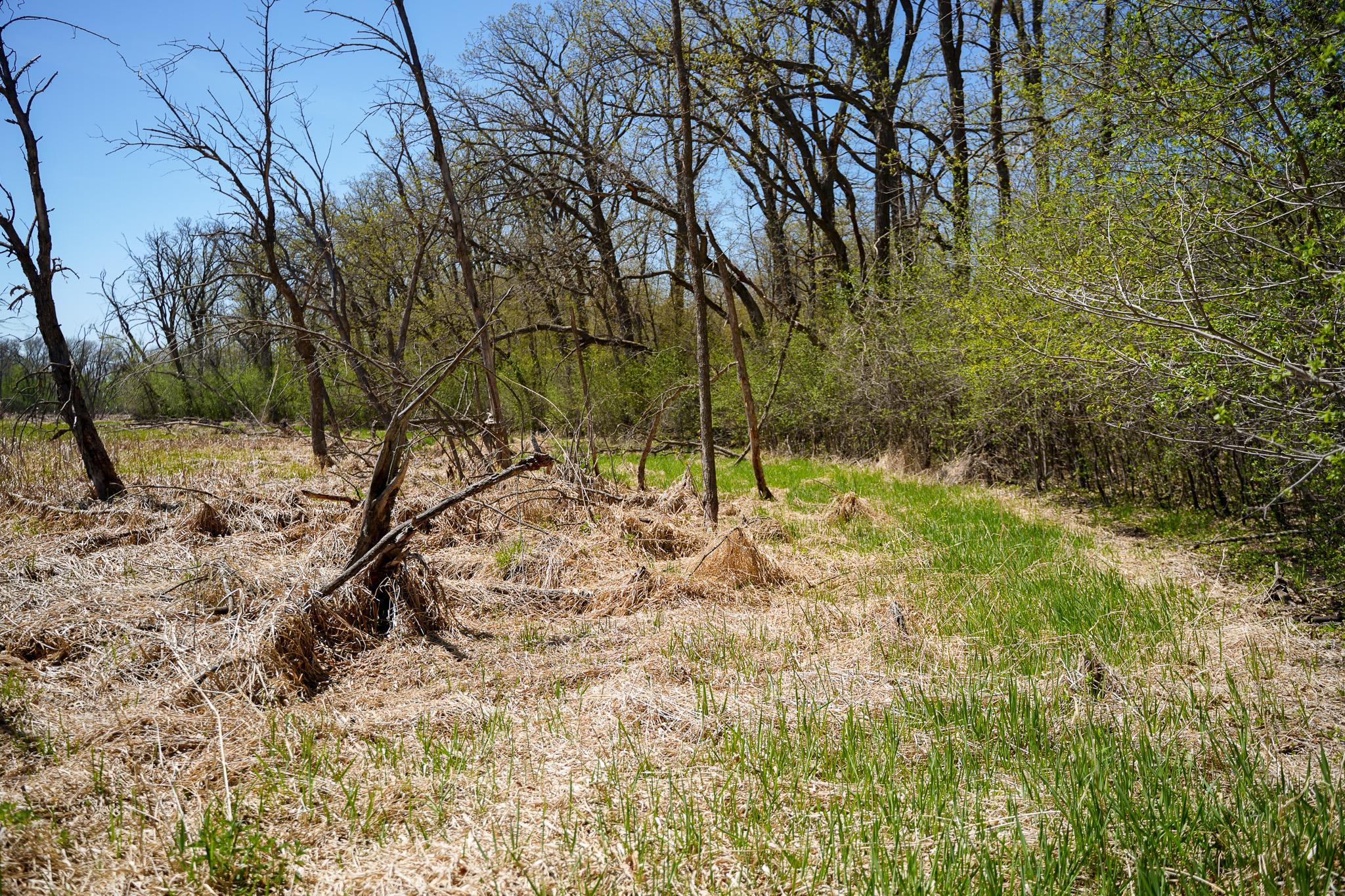 land for sale at TBD 125th Street in Dalton, MN (photo 37 of 42)