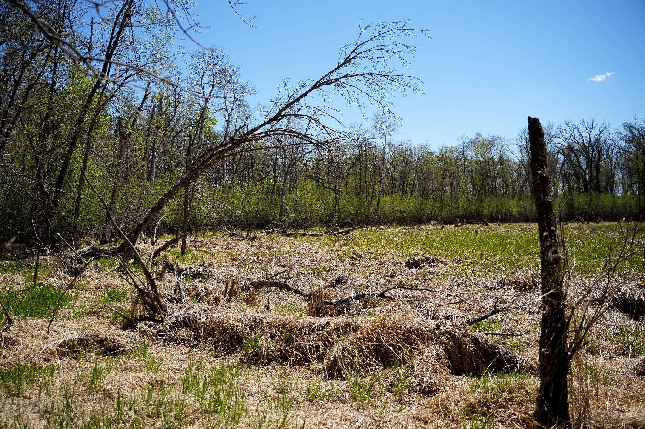 land for sale at TBD 125th Street in Dalton, MN (photo 38 of 42)
