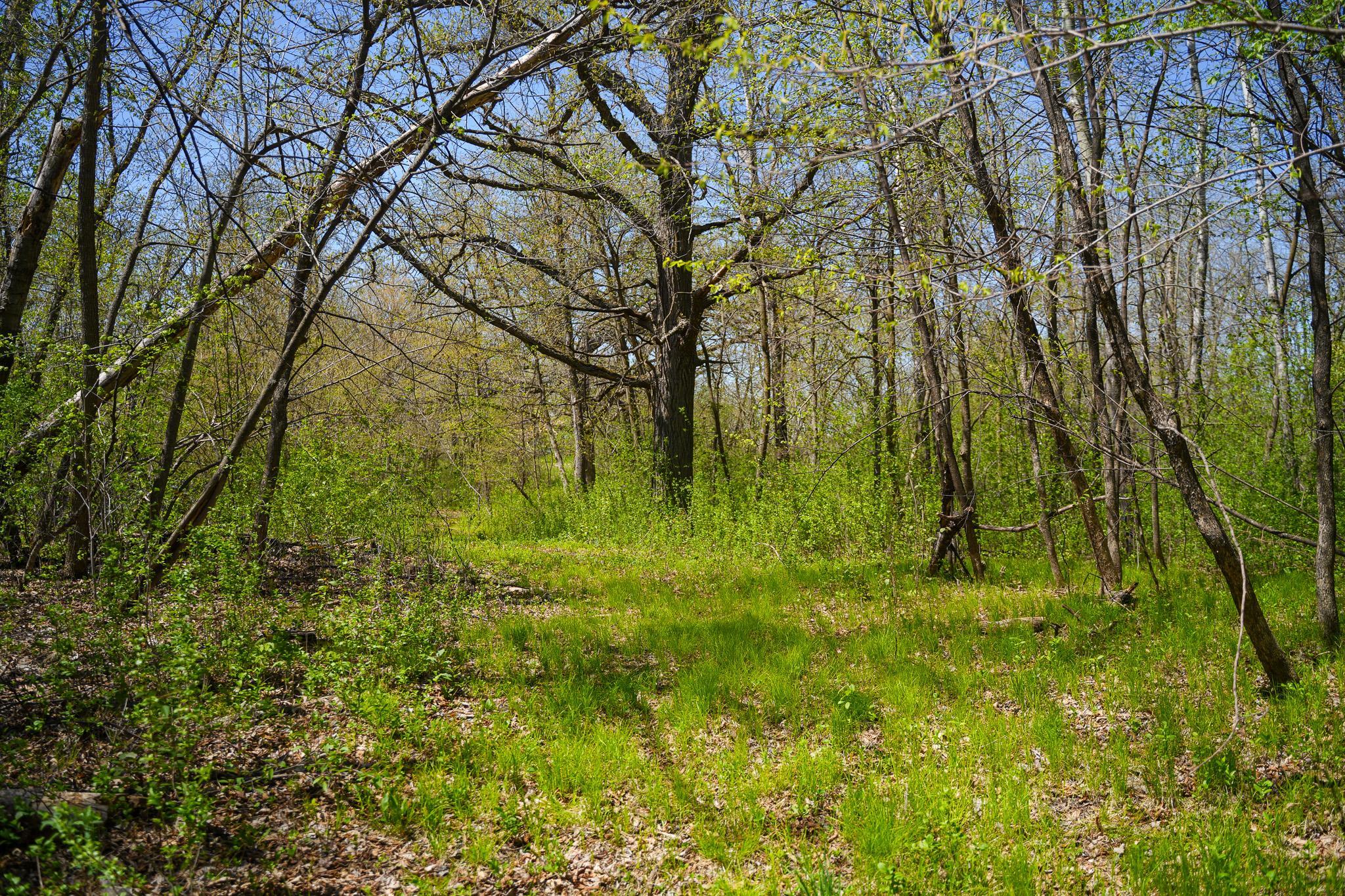 land for sale at TBD 125th Street in Dalton, MN (photo 39 of 42)